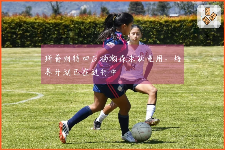 斯普利特回应杨瀚森未获重用，培养计划已在进行中