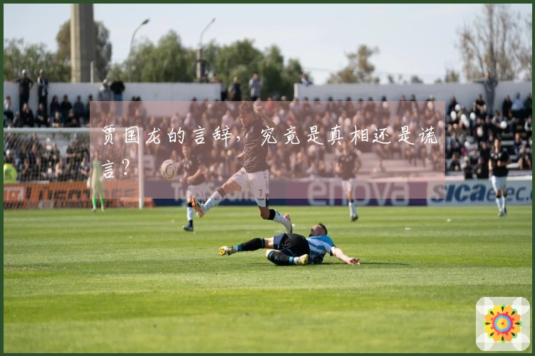 贾国龙的言辞，究竟是真相还是谎言？