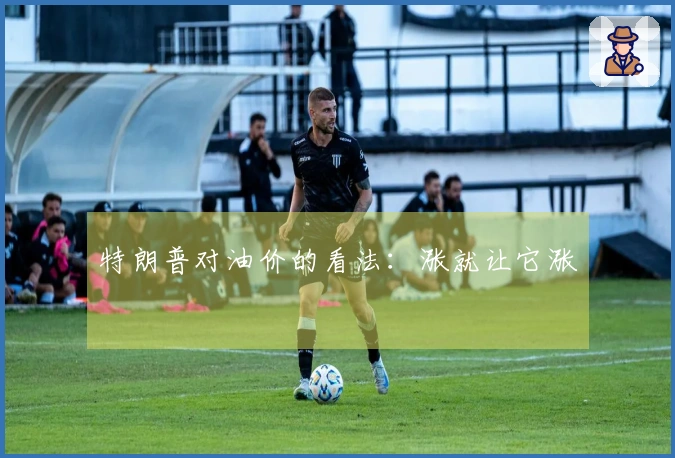 特朗普对油价的看法：涨就让它涨