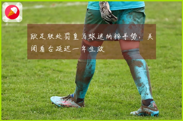欧足联处罚皇马球迷纳粹手势，关闭看台延迟一年生效